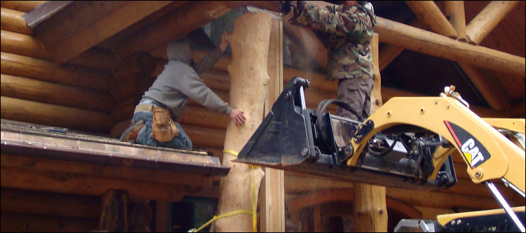 Log Home Log Replacement  Milford, Ohio