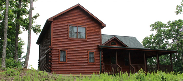 Professional Log Home Borate Application  Newtonsville, Ohio